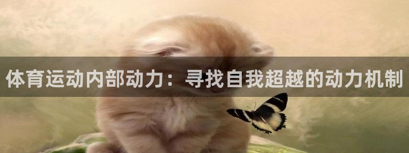 米兰体育入口