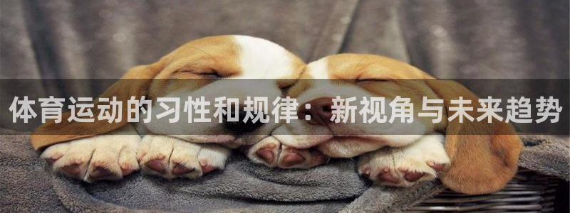 米兰体育网站