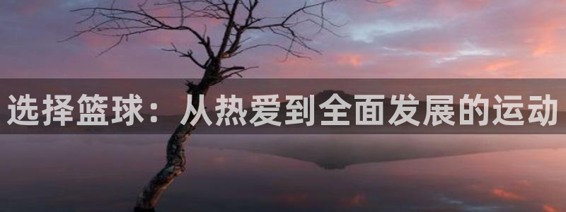 米兰体育.：选择篮球：从热爱到全面发展的运动