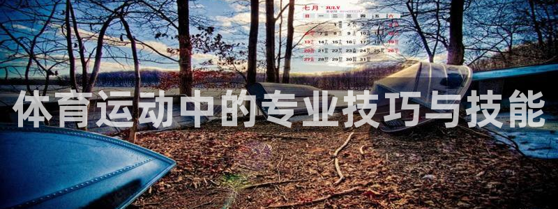 米兰体育下载官网最新版：体育运动中的专业技巧与技能
