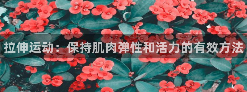 米兰体育报：拉伸运动：保持肌肉弹性和活力的有效方法