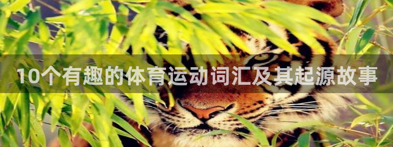 米兰体育网站